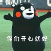 你们开心就好 摊手 熊本熊 可爱