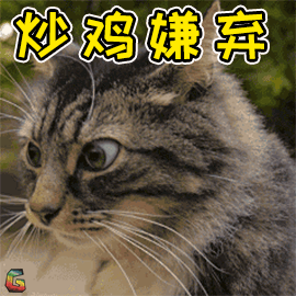 萌宠 猫咪 猫 拒绝 超级嫌弃 soogif soogif出品