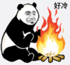 熊猫头 暴漫 好冷 搞怪 沙雕 逗