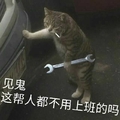 猫咪 喵星人 见鬼 都不用上班吗 工具 钳子