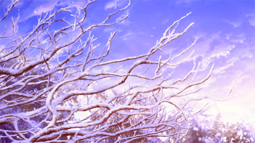 动漫 树枝 树挂 下雪