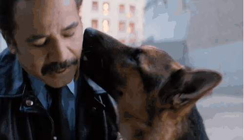 一条狗的使命 主人 电影 笑 舔 警察 警犬 预告片
