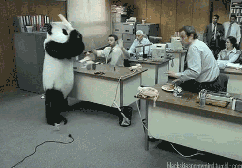 熊猫 办公室 破坏 摔打