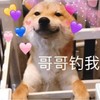萌宠 汪星人 哥哥钓我 我太无聊了 顽皮 淘气