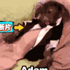 狗狗 穿衣 舒服 搞笑