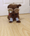 地板 狗狗 眼镜 脖套