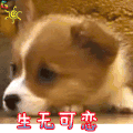 soogif soogif出品 伤心 生无可恋
