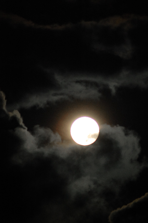 月亮 moon