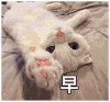 萌宠 猫星人 早 打招呼 呆萌 可爱