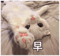 萌宠 猫星人 早 打招呼 呆萌 可爱