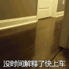 猪 宠物小猪 宠物猪 萌宠 没时间 解释 快上车