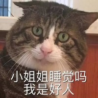 萌宠 喵星人 小姐姐睡觉吗 我是好人 淘气 可爱