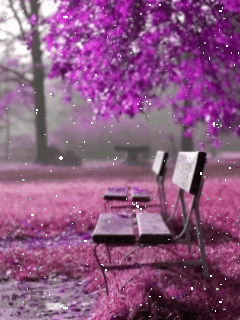 风景 动态 紫色