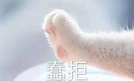 可爱 萌 文字表情包 小手 猫爪