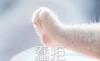 可爱 萌 文字表情包 小手 猫爪