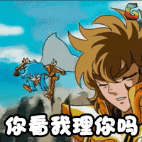 圣斗士星矢 热血 动漫 神话 星座 你看我理你吗 soogif soogif出品