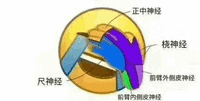 专业表情包 专用表情包