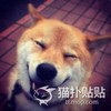 狗狗 壁板 闭眼 张嘴