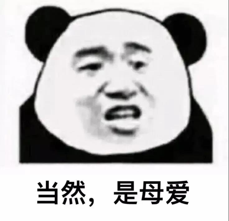 暴漫 熊猫头 当然 是母爱 搞怪 逗