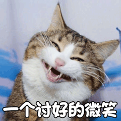 猫萌宠喵星人一个讨好的微笑soogifsoogif出品gif动图_动态图_表情包