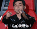 中国新歌声第二季 综艺 明星 周杰伦 导师 对，选的就是你