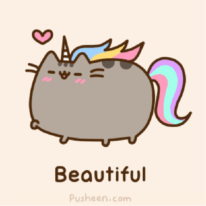彩色 胖猫 心形 灰色