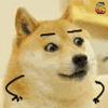 神烦狗 OMG 我的天呐 soogif soogif出品