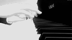 弹琴 手 钢琴 黑白