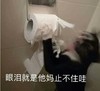 萌宠 猫星人 眼泪止不住的流 难受 呆萌 可爱
