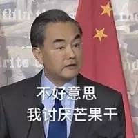 外交部 红旗 搞笑 不好意思我讨厌芒果干