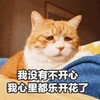 萌宠 猫星人 我没有不开心 我心里都乐开了花 呆萌 可爱