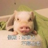 朋友圈配图 朋友圈截图 朋友圈