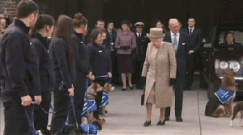 狗狗 英国女王 零食