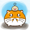 猫咪 可 爱萌宠 胡须
