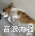 音浪太强 汪星人 蠢萌 动物