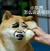 小东西怎么 说话呢你 金馆长 搞笑