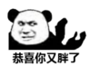 暴漫 文字表情包 恭喜你又胖了 搞笑 逗 沙雕
