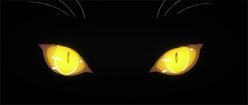 黑夜 猫眼 发光