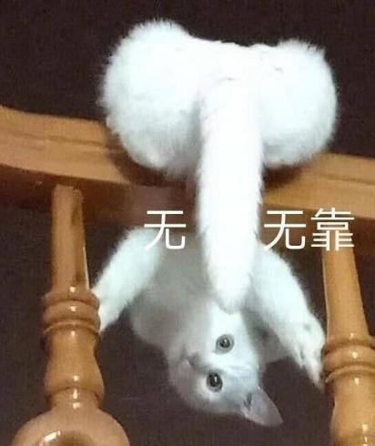 大杂烩 文字表情包 搞笑 沙雕 魔性