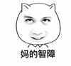 妈的智障 向上看 猫耳朵 龇牙