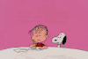 史努比 Snoopy 大南瓜 它的大南瓜查理布朗 莱纳斯范毛皮