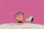 史努比 Snoopy 大南瓜 它的大南瓜查理布朗 莱纳斯范毛皮