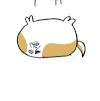 金馆长 狗狗 落地 啪