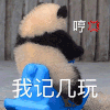 萌宠 熊猫 我自己玩 哼 呆萌 可爱