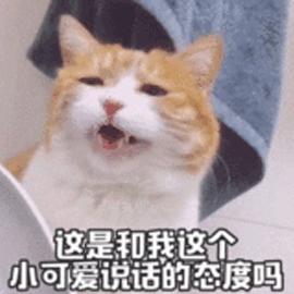 说话GIF表情图_说话表情_说话GIF动图-SOO表妹你在动态包这图片
