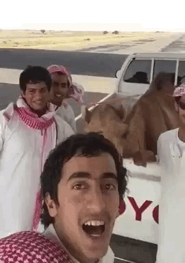 骆驼 拍照 发怒 吓跑