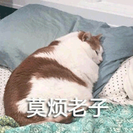 烦 劳资 老子 猫