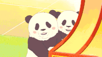 熊猫 歪头杀 宝宝 动画 panda 萌化了