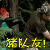 金甲战士 soogif soogif出品 猪队友！
