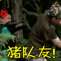金甲战士 soogif soogif出品 猪队友！